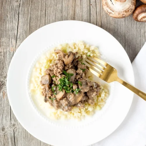paleo ground beef stroganoff vertical