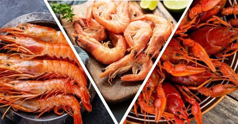 prawn vs shrimp vs crawfish