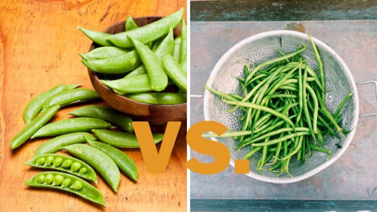snap peas vs green beans