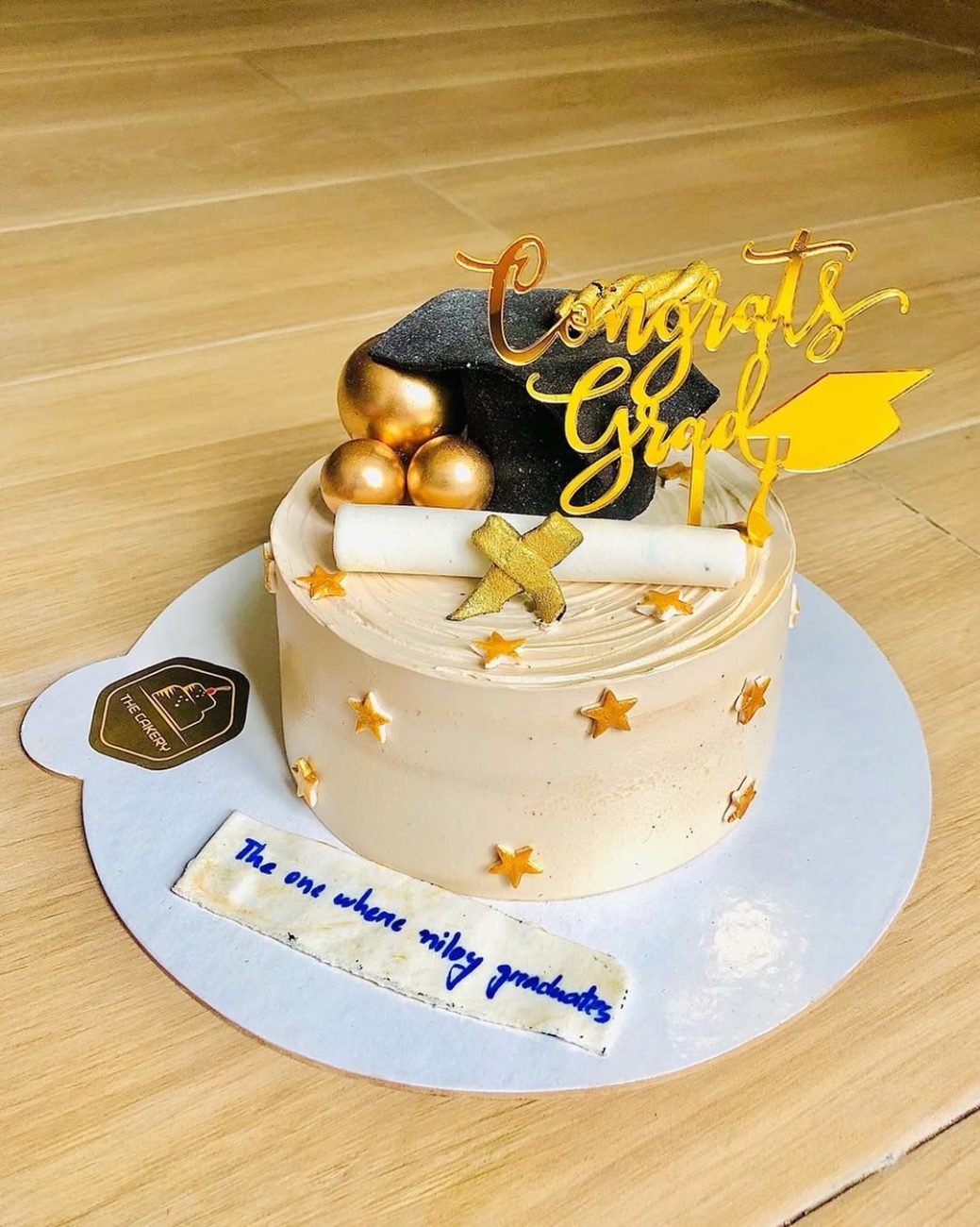 snapins ai 3204826559459068073