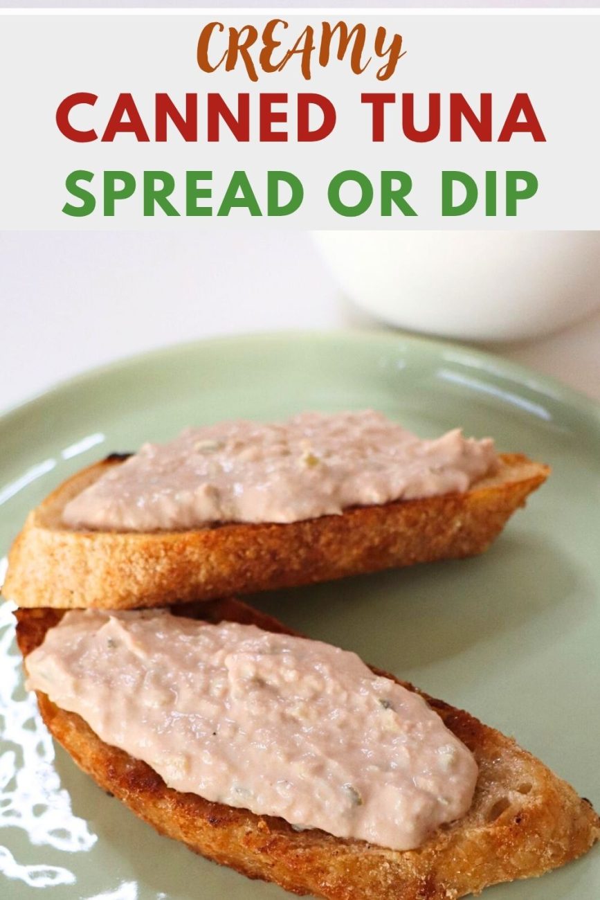 tuna spread or dip