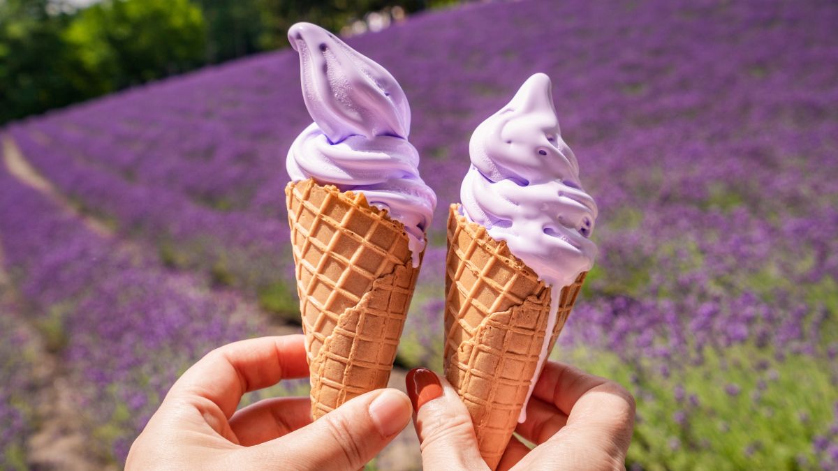 two hands holding cones with lavender ice cream in front of a lavender meadow