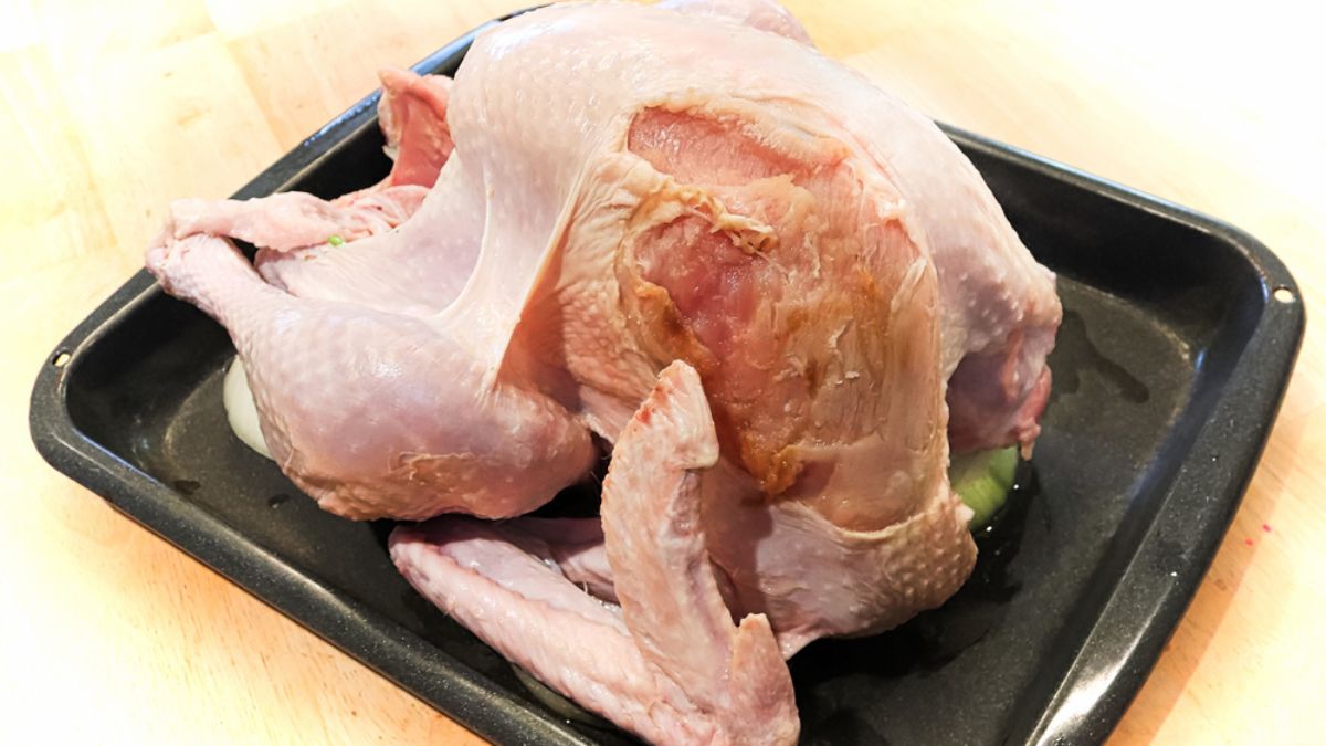 utility turkey with missing parts